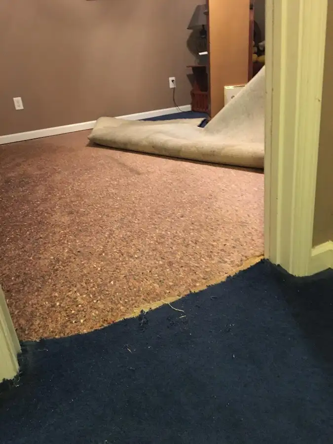 Carpet pad removal revealing water damage during Drying & Dehumidification in Upper Pottsgrove